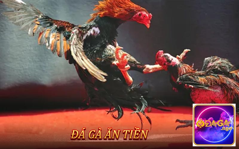 Đá gà ăn tiền