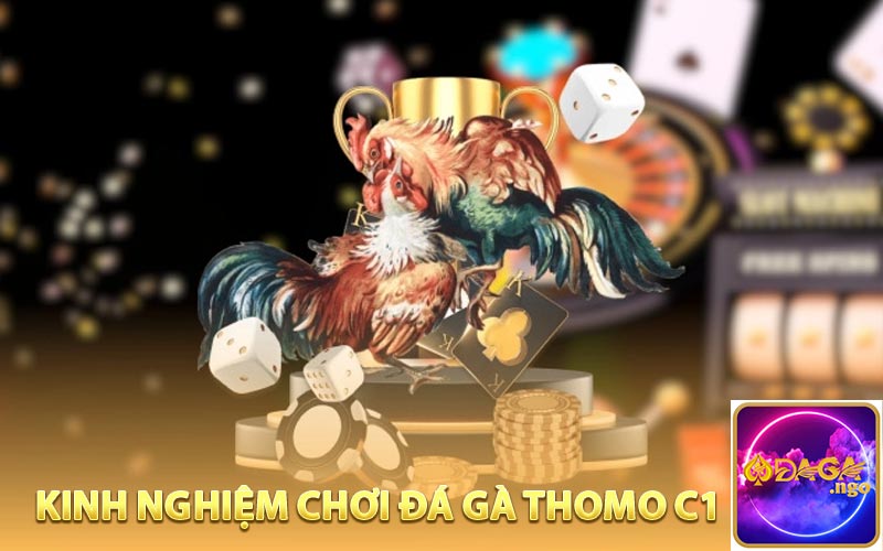 Mách bạn vài kinh nghiệm chơi Đá Gà Thomo C1