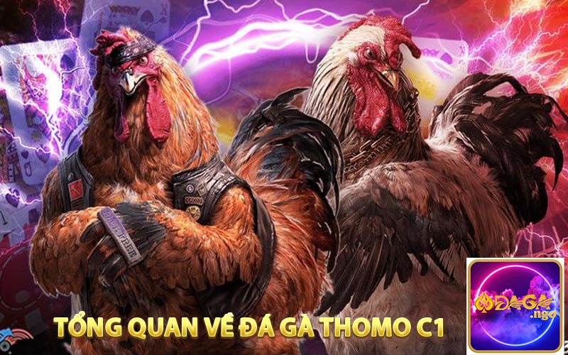 Tổng quan về đá gà Thomo C1